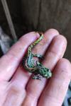 Triturus marmoratus