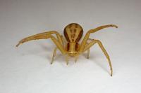 Runcinia grammica