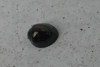 Chilocorus bipustulatus