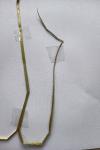 Arrhenatherum elatius