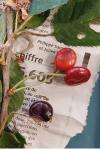Prunus avium