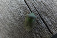 Nezara viridula