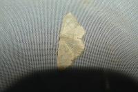Idaea straminata