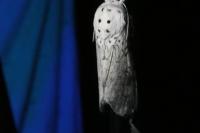 Cerura erminea