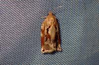 Archips xylosteana