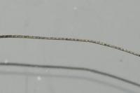 Nematopogon