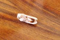 Euproctis chrysorrhoea