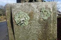 Flavoparmelia caperata