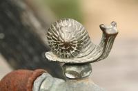 Cepaea hortensis
