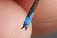 Erythromma viridulum