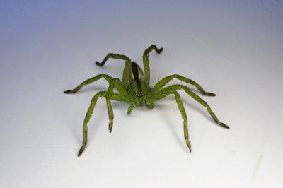 <i>Micrommata ligurina</i>