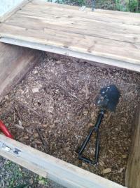 <i>Oryctes nasicornis</i>