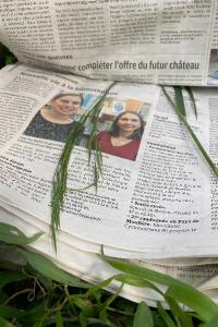 <i>Anisantha tectorum</i>