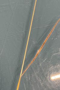 <i>Bromus hordeaceus</i>