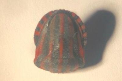 <i>Graphosoma italicum</i>