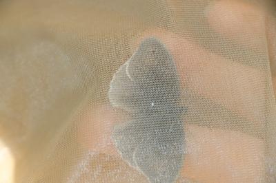<i>Maniola jurtina</i>