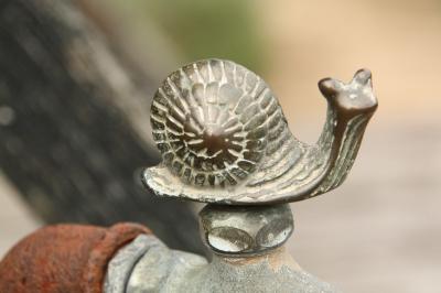 <i>Cepaea hortensis</i>
