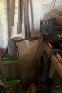 Couleuvre d'Esculape 